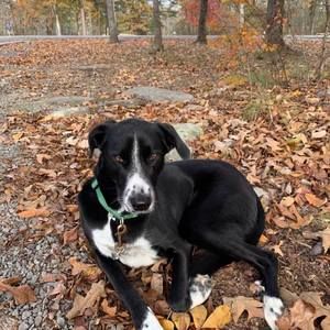 Meet your Posher, Dona